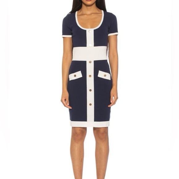 Alexia Admor Serenity Scoopneck Colorblock Knit Blue White Dress Medium - Picture 1 of 9